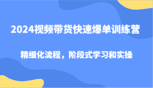 2024视频带货快速爆单训练营，精细化流程，阶段式学习和实操-优优云创