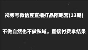 视频号微信豆直播打品陪跑(13期)，不做不自然流不做私域，直接付费拿结果-优优云创