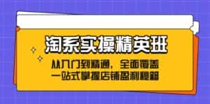 淘系实操精英班：从入门到精通，全面覆盖，一站式掌握店铺盈利秘籍-优优云创