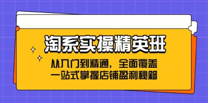 淘系实操精英班：从入门到精通，全面覆盖，一站式掌握店铺盈利秘籍-优优云创