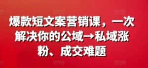 爆款短文案营销课，一次解决你的公域→私域涨粉、成交难题-优优云创