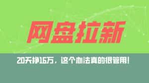 （12294期）网盘拉新+私域运营玩法，零基础入门，小白可操作，当天见效，日入5000+-优优云创