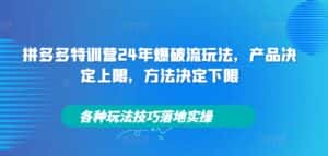 拼多多特训营24年爆破流玩法，产品决定上限，方法决定下限，各种玩法技巧落地实操-优优云创