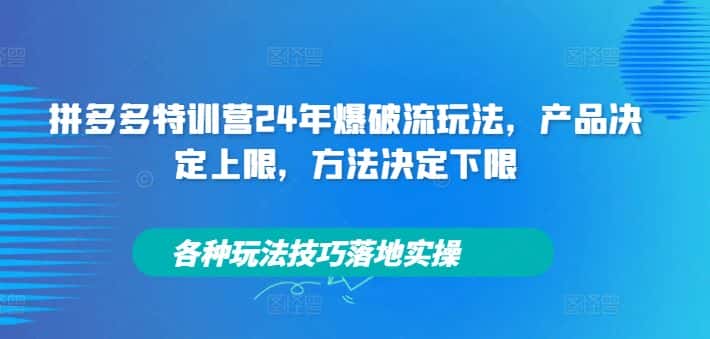 拼多多特训营24年爆破流玩法，产品决定上限，方法决定下限，各种玩法技巧落地实操-优优云创