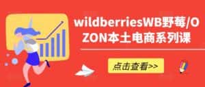 wildberriesWB野莓/OZON本土电商系列课，掌握WB产品优化，出单技巧和订单处理等-优优云创