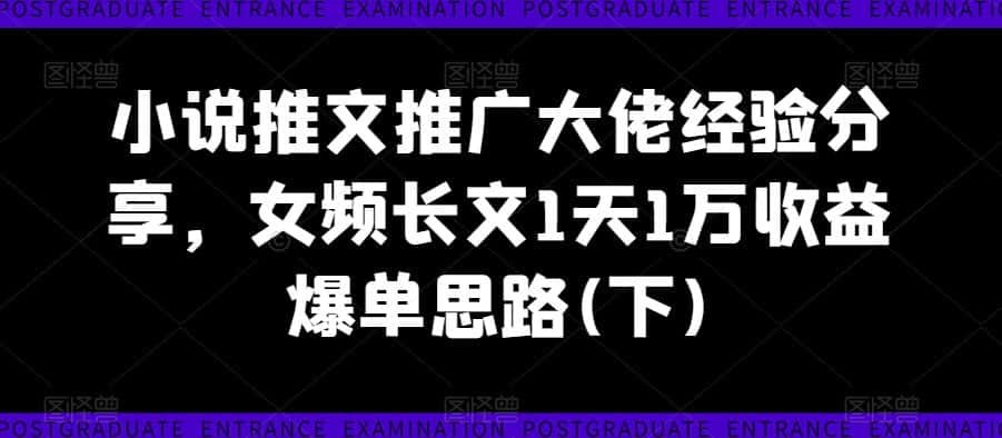 小说推文推广大佬经验分享，女频长文1天1万收益爆单思路(下)-副业吧