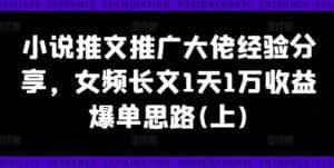 小说推文推广大佬经验分享，女频长文1天1万收益爆单思路(上)-优优云创