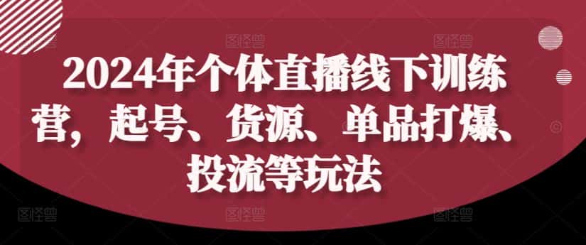 2024年个体直播训练营，起号、货源、单品打爆、投流等玩法-优优云创