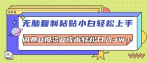 (12432期)无脑复制粘贴,小白轻松上手,电商0投资0成本轻松月入3W+-副业吧