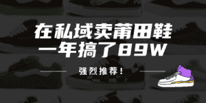 （12370期）24年在私域卖莆田鞋，一年搞了89W，强烈推荐！-优优云创