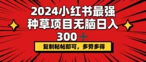 （12336期）2024小红书最强种草项目，无脑日入300+，复制粘帖即可，多劳多得-优优云创
