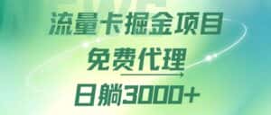 （12321期）流量卡掘金代理，日躺赚3000+，变现暴力，多种推广途径-优优云创