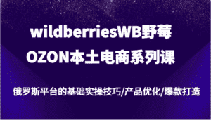 wildberriesWB野莓/OZON本土电商系列课，俄罗斯平台的基础实操技巧/产品优化/爆款打造-优优云创