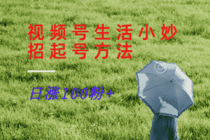 视频号生活小妙招分享赛道， 起号涨粉新方法，日涨100粉-优优云创