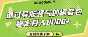 骚气的导航语音包，自用的同时还可以作为项目操作，月入8000+-优优云创