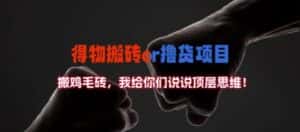 得物搬砖撸货项目?掰下数据，我给你们说说顶层思维-优优云创网