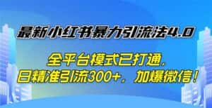 （12505期）最新小红书暴力引流法4.0， 全平台模式已打通，日精准引流300+，加爆微…-优优云创