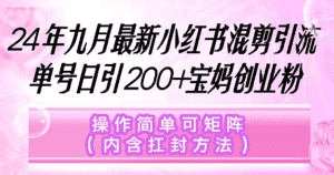 （12530期）小红书混剪引流，单号日引200+宝妈创业粉，操作简单可矩阵（内含扛封…-优优云创