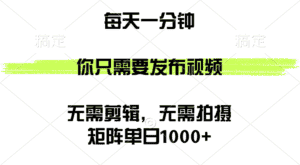 （12538期）矩阵单日1000+，你只需要发布视频，用时一分钟，无需剪辑，无需拍摄-优优云创