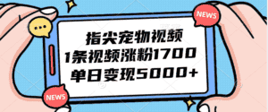 （12549期）指尖宠物视频，1条视频涨粉1700，单日变现5000+-优优云创