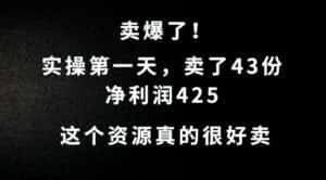 这个资源，需求很大，实操第一天卖了43份，净利润425-优优云创
