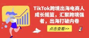 TikTok跨境出海电商人成长摇篮,汇聚跨境强者,出海打破内卷-优优云创