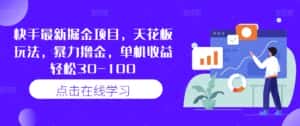 快手最新掘金项目，天花板玩法，暴力撸金，单机收益轻松30-100-优优云创