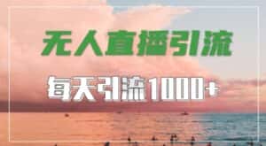 抖音快手视频号全平台通用，无人直播引流法，超暴力引流1000+高质量精准创业粉-优优云创