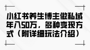 （12619期）小红书养生博主做私域年入50万，多种变现方式（附详细玩法介绍）-副业吧
