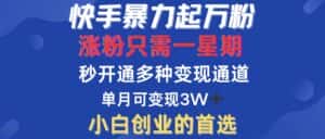 （12651期）快手暴力起万粉，涨粉只需一星期，多种变现模式，直接秒开万合，小白创…-优优云创