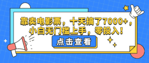 （12665期）靠卖电影票，十天搞了7000+，小白无门槛上手，零投入！-副业吧