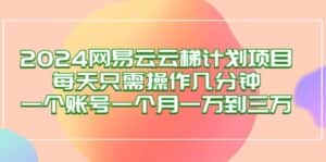 （12675期）2024网易云梯计划项目，每天只需操作几分钟 一个账号一个月一万到三万-优优云创网