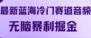 最新蓝海冷门赛道音频，无脑暴利掘金-优优云创