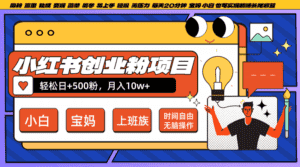 小红书创业粉日+500，月入10W+，无脑操作，每天20分钟-优优云创