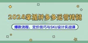 2024掌握拼多多运营精髓：爆款流程、定价技巧与SKU设计实战课-副业吧