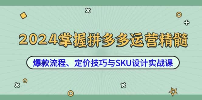 2024掌握拼多多运营精髓：爆款流程、定价技巧与SKU设计实战课-副业吧
