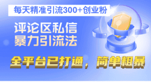 （12714期）评论区私信暴力引流法，每天精准引流300+创业粉，全平台已打通，简单粗暴-优优云创