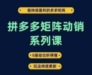 拼多多矩阵动销系列课，能持续盈利的多多矩阵，0基础也听得懂，玩法持续更新-优优云创