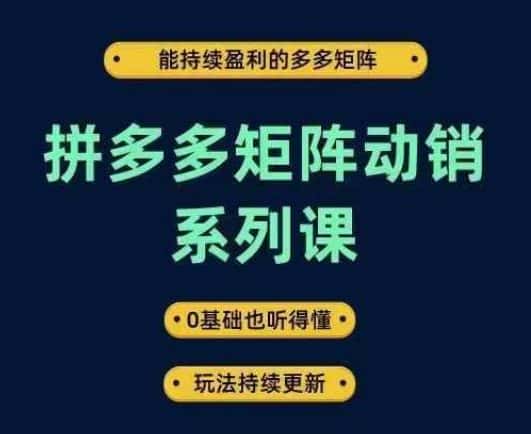 拼多多矩阵动销系列课，能持续盈利的多多矩阵，0基础也听得懂，玩法持续更新-优优云创