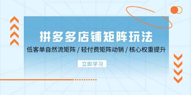 拼多多店铺矩阵玩法:低客单自然流矩阵 / 轻付费矩阵 动销 / 核心权重提升-副业吧