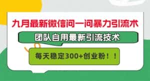 （12735期）九月最新微信问一问暴力引流术，团队自用引流术，每天稳定300+创…-优优云创
