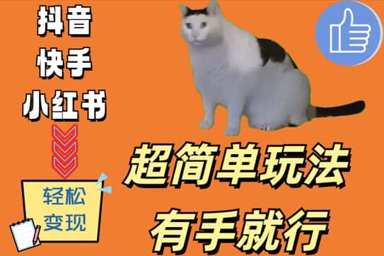 超简单玩法，有手就行，靠猫咪视频日入500+-优优云创网