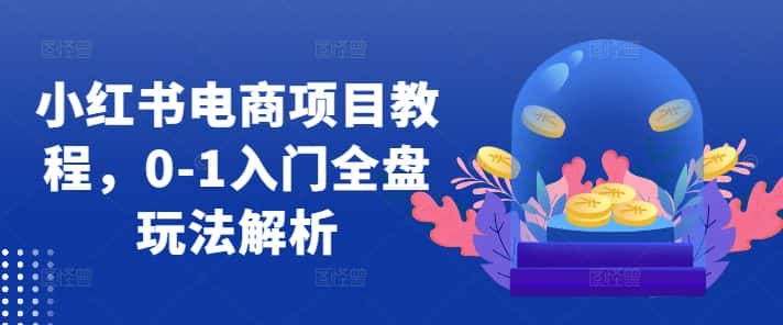 小红书电商项目教程，0-1入门全盘玩法解析-优优云创