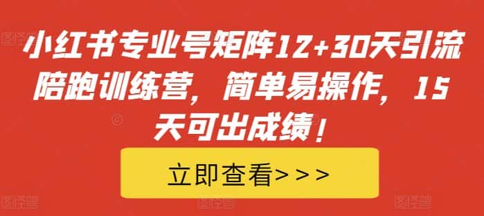 小红书专业号矩阵12+30天引流陪跑训练营，简单易操作，15天可出成绩!-优优云创