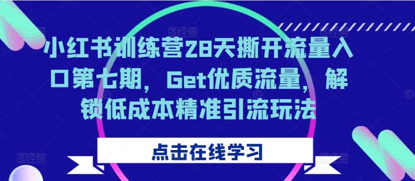小红书训练营28天撕开流量入口第七期，Get优质流量，解锁低成本精准引流玩法-优优云创