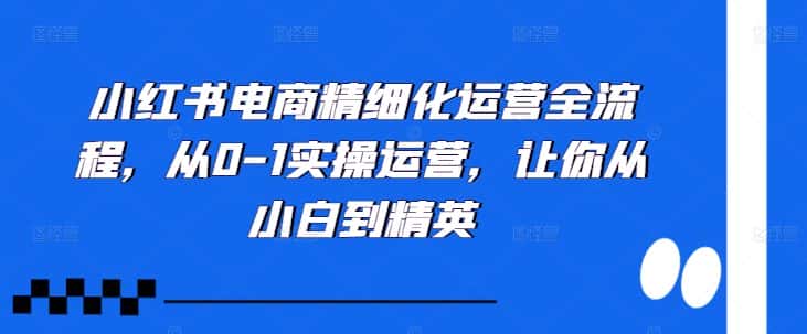 小红书电商精细化运营全流程，从0-1实操运营，让你从小白到精英-优优云创