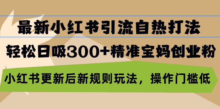 （13145期）最新小红书引流自热打法，轻松日吸300+精准宝妈创业粉，小红书更新后新…-优优云创