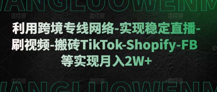 利用跨境专线网络-实现稳定直播-刷视频-搬砖TikTok-Shopify-FB等实现月入2W+-副业吧