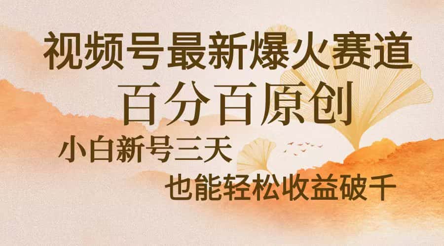 （13225期）视频号最新爆火赛道，中老年粉深信不疑，百分百原创，新号三天收益轻松…-优优云创
