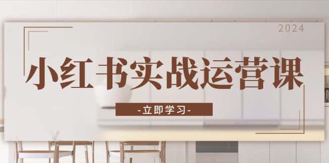 （13238期）小红书实战运营课：从开通店铺到直播话术，打造爆款笔记与高效直播-优优云创
